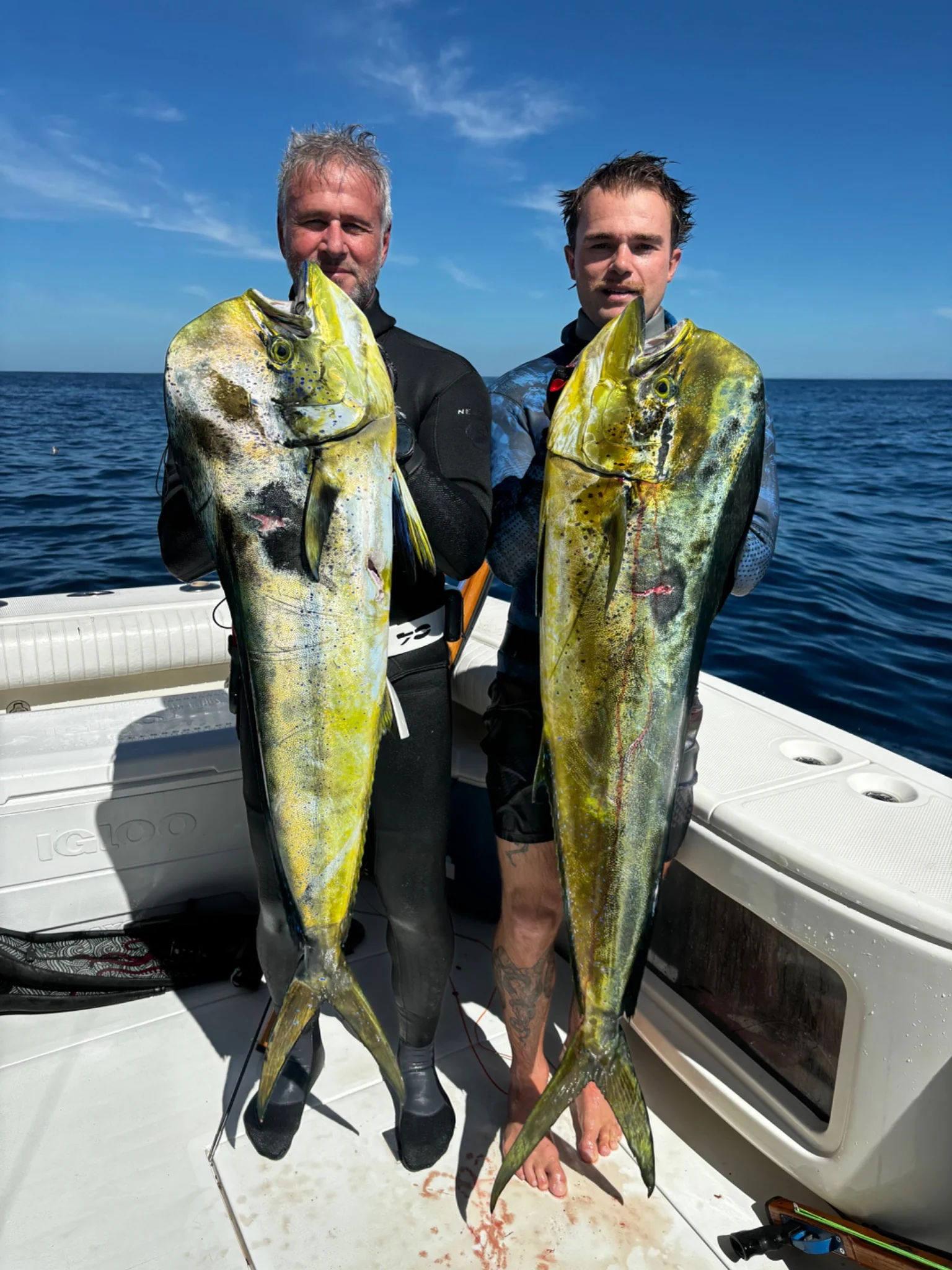 A person aboard a boat holding a freshly caught mahi