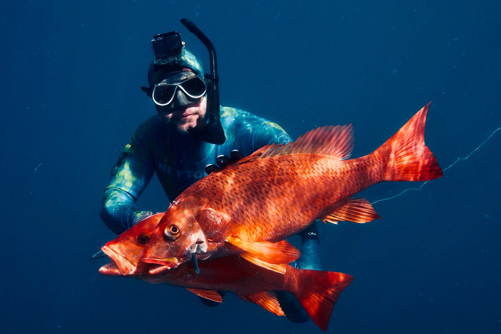 A freediver underwater holding three vivid red snapper