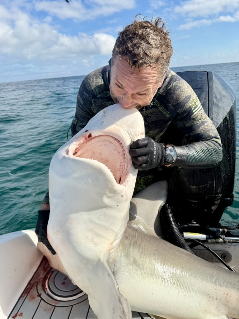 Spearfisher on a boat playfully biting the head of a large shark