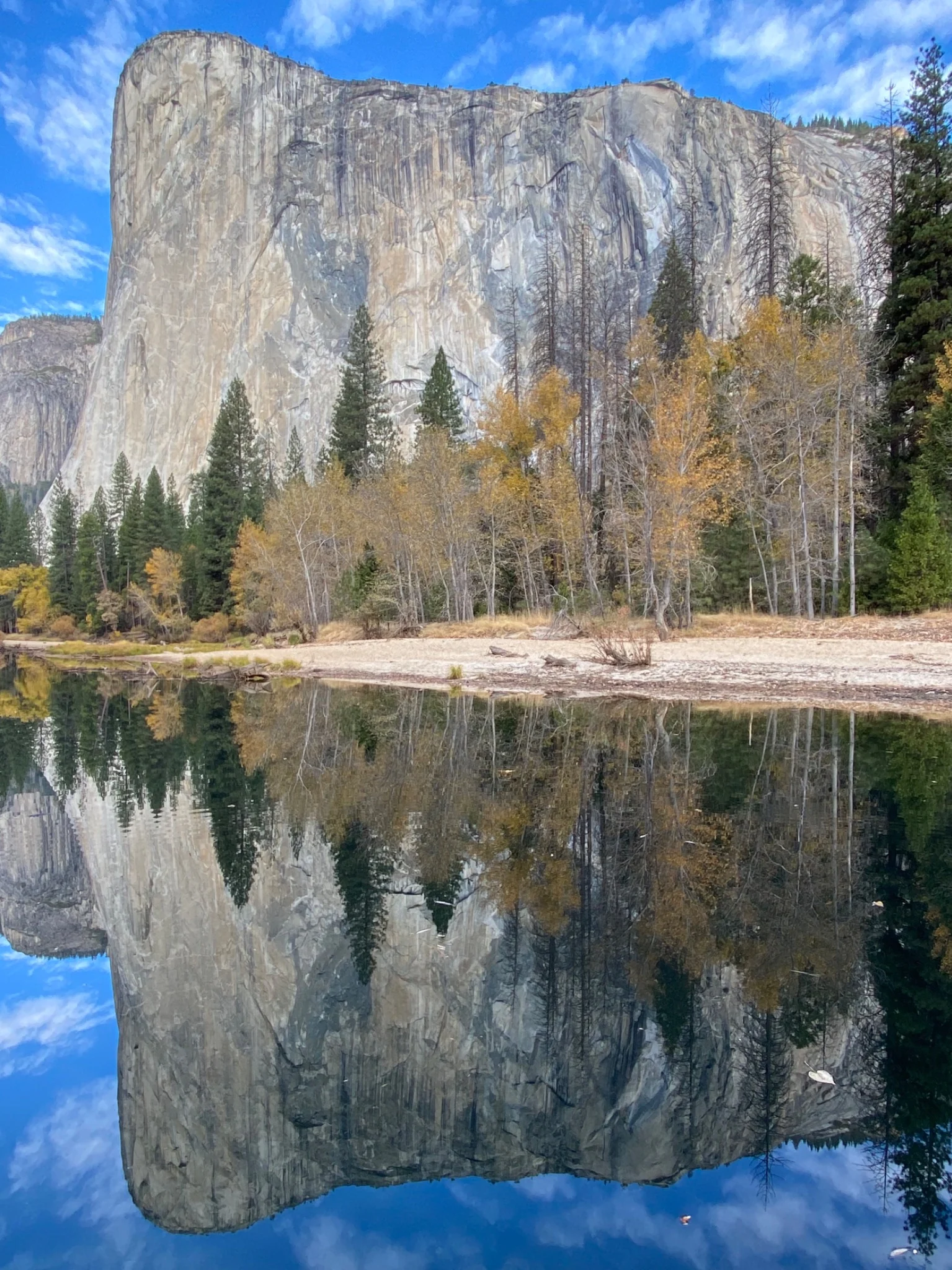 Yosemite cliffs and trees reflected in still water